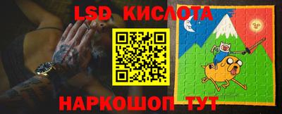 стафф Будённовск