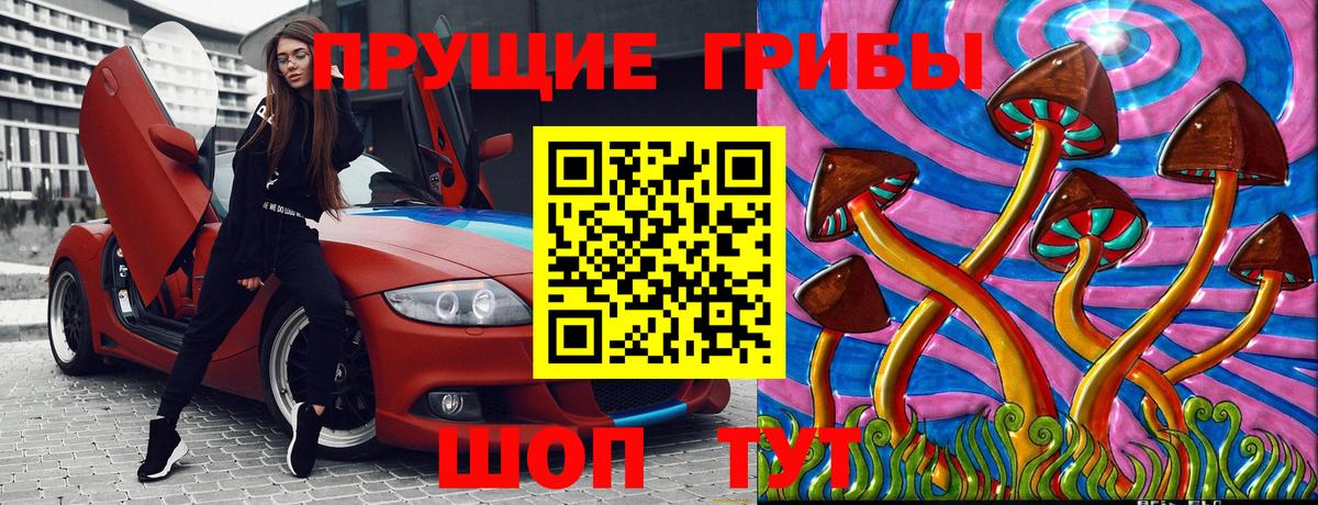 Псилоцибиновые грибы мухоморы Ленинск-Кузнецкий