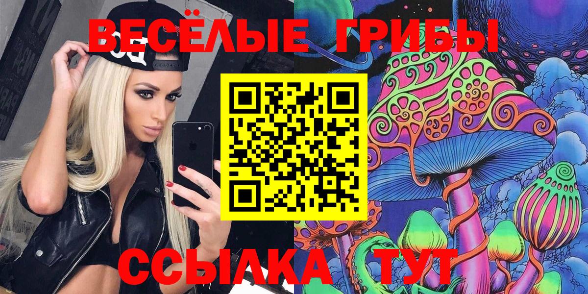 Псилоцибиновые грибы GOLDEN TEACHER  где купить наркоту  Ленинск-Кузнецкий  Вход с VPN 